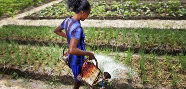Les femmes effectuent 76% des heures de travail mondial Les femmes effectuent 76% des heures de travail mondial