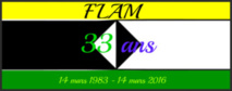 Report de la journée anniversaire Flam, le 13 mars 2016 à Montreuil