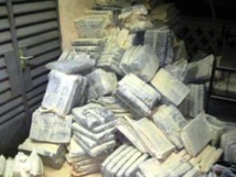 Incinération de grosses quantités de drogue et de produits illicites en Mauritanie