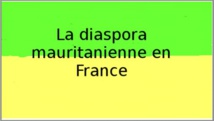 Mauritanie/Investissement : le gouvernement veut intégrer la diaspora Mauritanie/Investissement : le gouvernement veut intégrer la diaspora