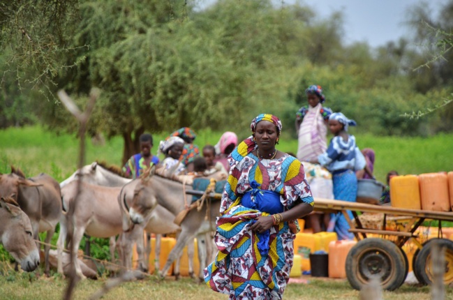 PHOTOGRAPHIE : L'AUTRE MAURITANIE QU'ON NE VERRA PAS AU SOMMET ARABE PHOTOGRAPHIE : L'AUTRE MAURITANIE QU'ON NE VERRA PAS AU SOMMET ARABE