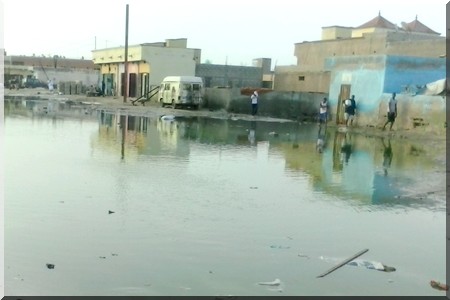 ÇA NE SENT PAS LA ROSE À BASRA "PHOTOREPORTAGE"