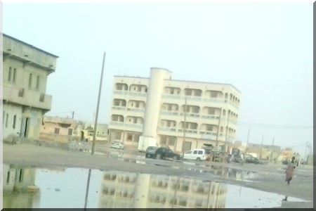 ÇA NE SENT PAS LA ROSE À BASRA "PHOTOREPORTAGE"