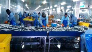 Mauritanie : Une industrie en difficultés