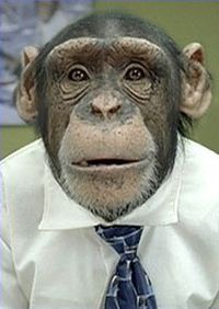 Khoumsanneries du Hiwar : les couleurs nationales , l'hymne et les guenons !