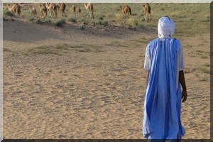 Mauritanie-quand-lelite-honte-de-son-identite-berbere
