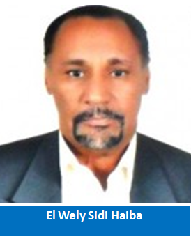 Tradition politique déficiente?/El Wely Sidi Haiba