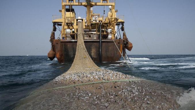 Mauritanie : l’Etat étouffe la pêche locale au profit des étrangers