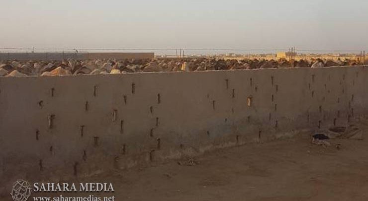 Mauritanie : des milliers de camelins exportés vers la Libye