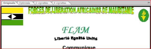Démenti des Flam face aux allégations publiées par Adrar-info