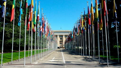 MAURITANIE RAPPORT ALTERNATIF CONJOINT CONCERNANT LA TORTURE ET AUTRES PEINES OU TRAITEMENTS CRUELS, INHUMAINS OU DÉGRADANTS