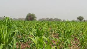 Mauritanie : Ould Aziz officialise l’expropriation des terres de la vallée par Yaya Cherif Kane.