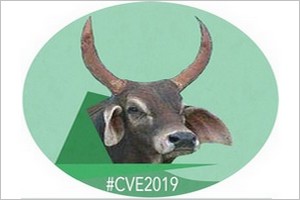 La CHARTE de la CVE : une nouvelle étape franchie dans notre vision de la reconstruction du pays.
