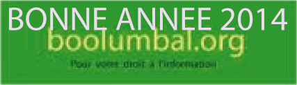2014: VŒUX DE L’ÉQUIPE DE RÉDACTION DE BOOLUMBAL.ORG