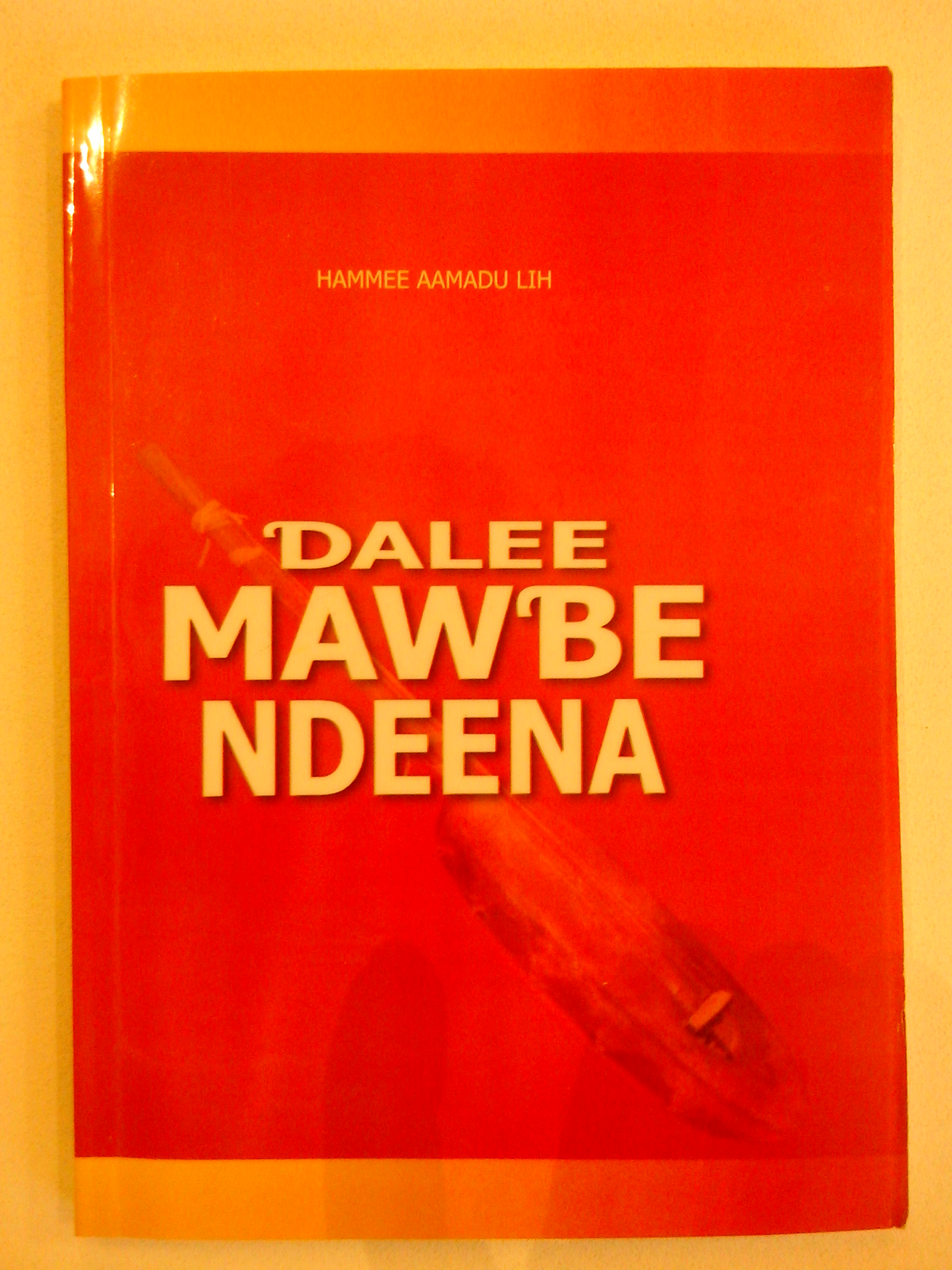 Deftere « Ɗalee mawɓe ndeena » nde Hamme Aamadu Lih mo Mbooyo(2STV).