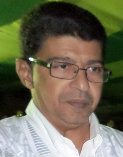 Mauritanie: "L’opposition tente de faire échouer le dialogue" (Ministre)