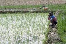 Gorgol : Expropriation des terres des paysans