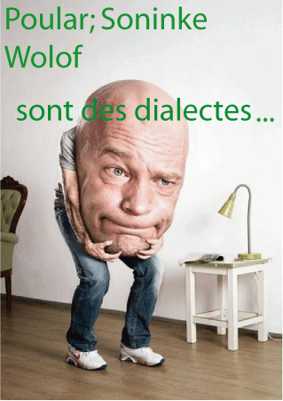 Pour le linguiste Dr Mohamed Ould Cheikh : le poular, le soninké et le wolof sont des dialectes…