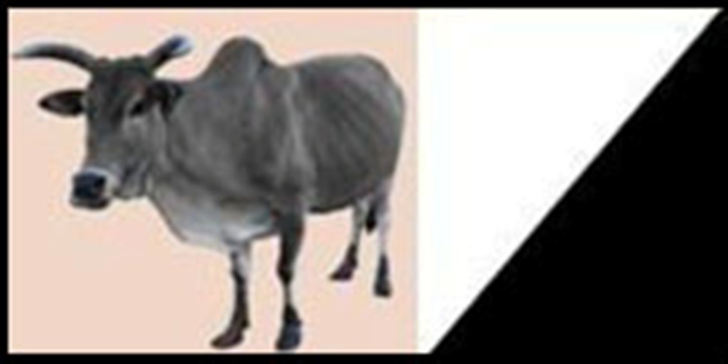 AJD/MR DECLARATION : Condamnation des militants de droits humains