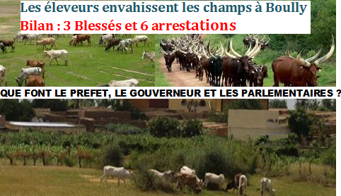 Alerte à Boully : La gestion chaotique du Préfet du département crée une tension guerrière entre les éleveurs et les agriculteurs de la Commune