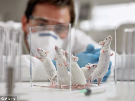 Selon cette anthropologue, les chercheurs mauritaniens étudient leur peuple comme des "rats de laboratoire..."