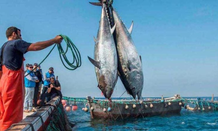 L’Union européenne envisage de renouveler l’accord de pêche avec la Mauritanie