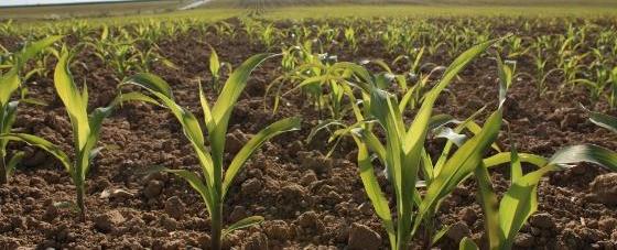 ACCAPAREMENT DES TERRES : UNE SITUATION PRÉOCCUPANTE