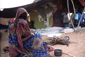 Oulémas et Haratines : Guerre larvée