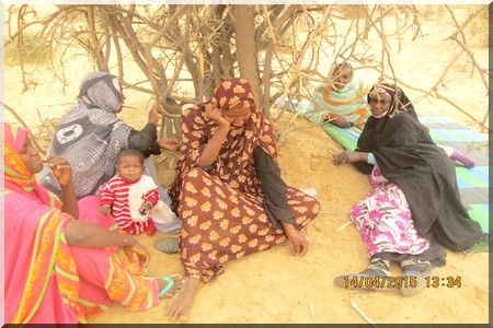 Sit-in des paysans de plusieurs villages de la commune de Darel Barka contre l’attribution de 3200 Ha à l’IAIDA (PhotosReportage)