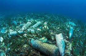 La baie de Nouadhibou est de plus en plus polluée