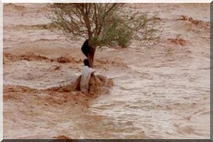 Urgent : 70 maisons effondrées à Sinthiane Diama et 13 autres à Tèkinguel (commune de Darel Barka)