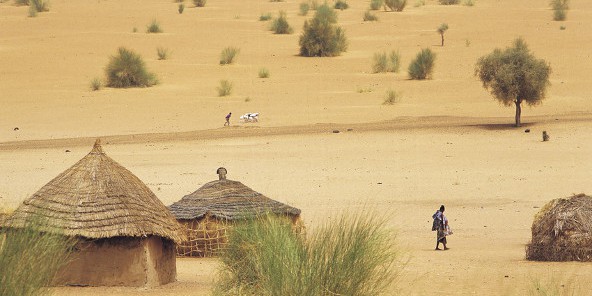 Mauritanie : « Nos ancêtres les nomades », visite guidée du Musée national