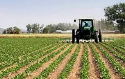 La Mauritanie et l'Egypte vont exploiter un périmètre agricole dans le sud mauritanien