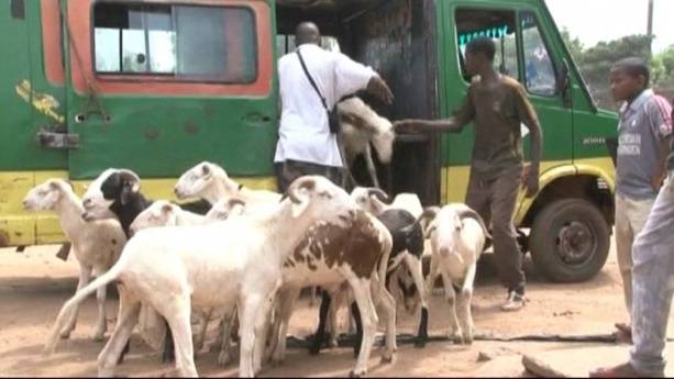 Un oeil sur la Mauritanie: Bus de transport étudiants ou moutons?