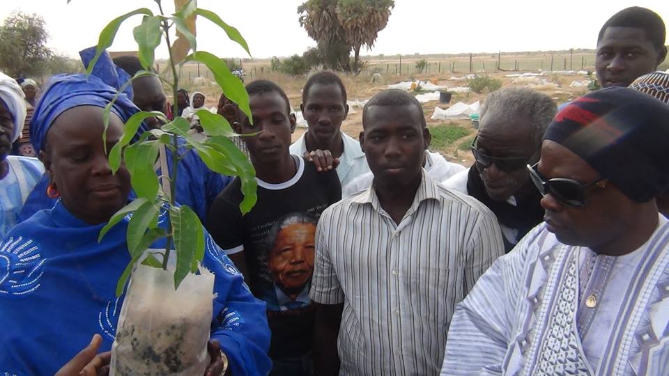 BAABA Mal  a fait un  tabac à  Aére M'bar le 12 & 13 décembre  2015