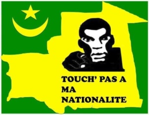 Paris: Le mouvement TPMN va se prononcer sur la sécession du Sud de la Mauritanie