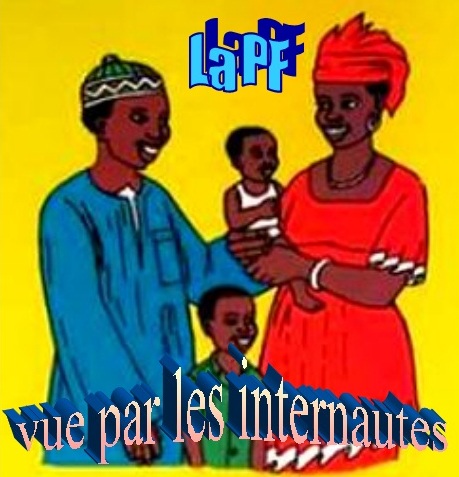 La planification familiale vue par les internautes