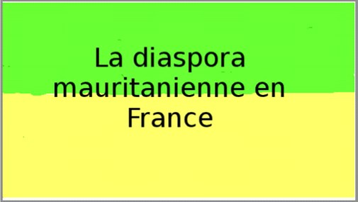 Mauritanie/Investissement : le gouvernement veut intégrer la diaspora
