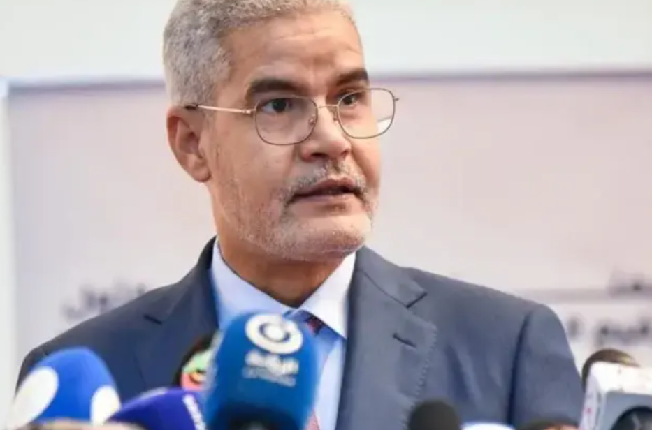 Un ancien ministre : « la candidature de Coumba Ba au secrétariat général de la francophonie est une ambition légitime et le français est présent en Mauritanie »