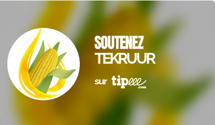 IMPORTANT: VOUS POUVEZ SOUTENIR DÈS AUJOURD'HUI MON TRAVAIL SUR LE TEKRUUR*