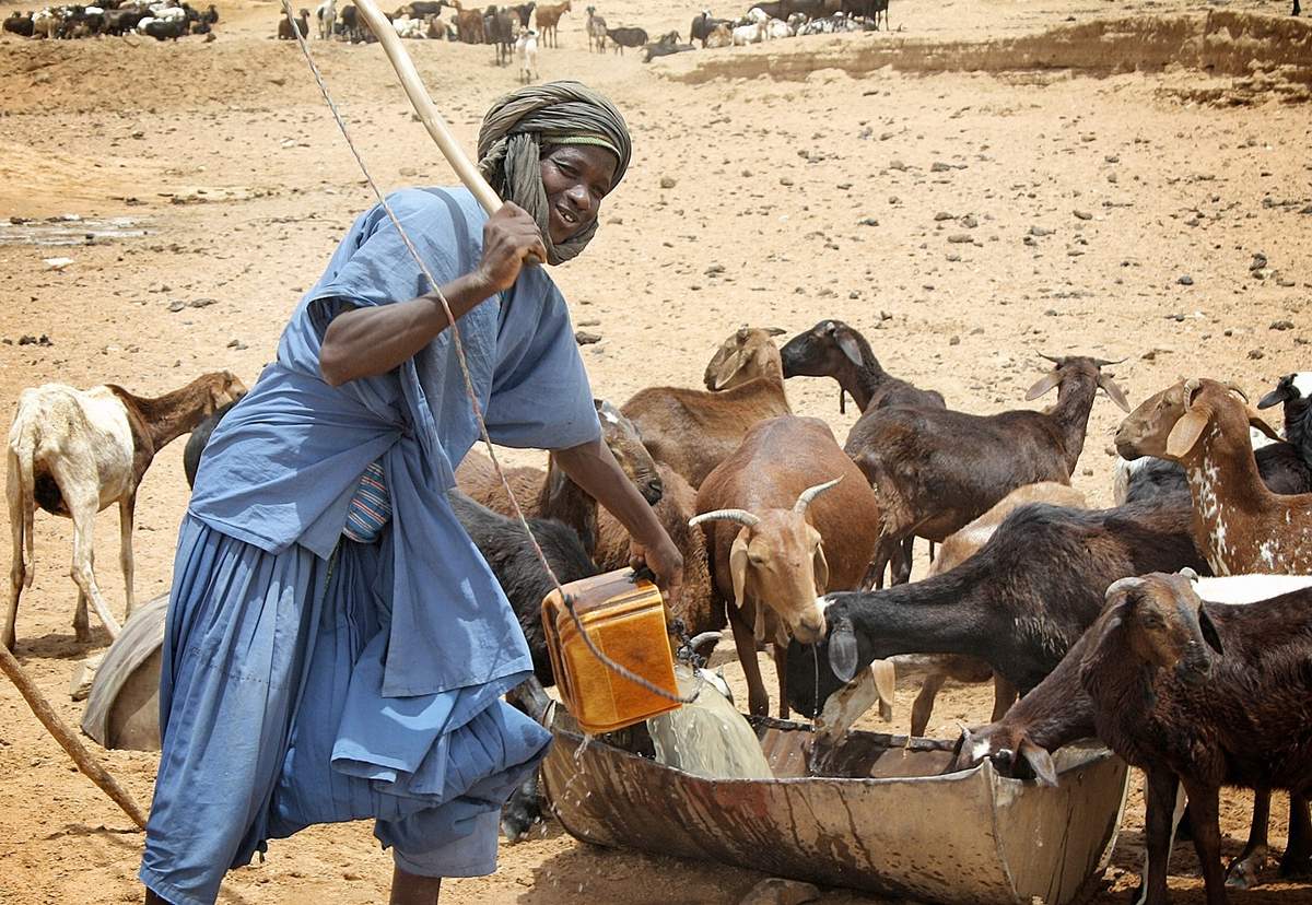 PHOTOGRAPHIE : L'AUTRE MAURITANIE QU'ON NE VERRA PAS AU SOMMET ARABE