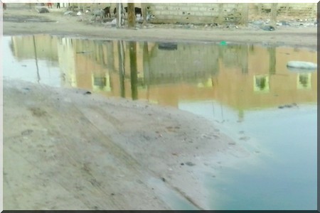 ÇA NE SENT PAS LA ROSE À BASRA "PHOTOREPORTAGE"