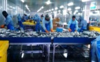 Mauritanie : Une industrie en difficultés