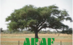 Journée annuelle de l'Association des Ressortissants d'Aere M'bar en France  (ARAF)