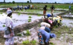 Mauritanie: L’accaparement des terres dans la vallée du fleuve dénoncé