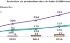 Agriculture-Mauritanie: 2/3 des terres arables improductives pour la dernière campagne ridicule de 2016