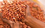 Quel avenir pour l’arachide au Sénégal ?