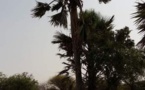 L’affaire dite « le jardin du vieux » à Dafort, ce que j’en sais et j’en pense aujourd’hui..!
