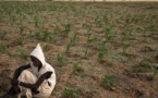 Les villageois sans terre de Mauritanie