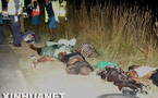 Accident de la route à Ndioum : 4 morts et 30 blessés